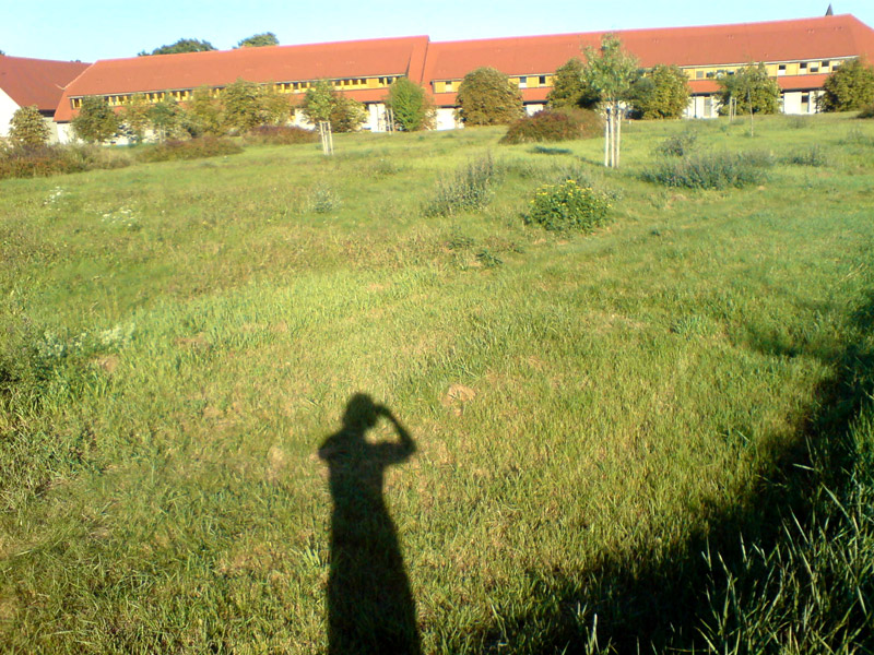 Kloster Helfta in Eisleben 2009