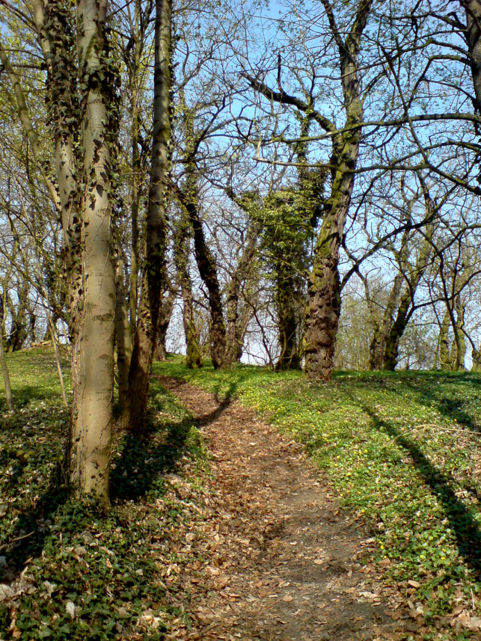 Wege im Schlosspark in Ostrau