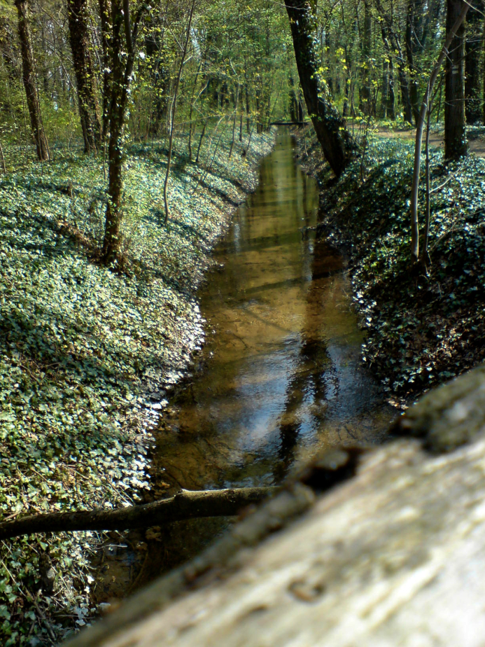Wasserlauf