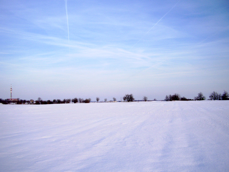 Schneeschuhwandern