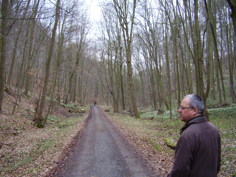 Märzenbechertal