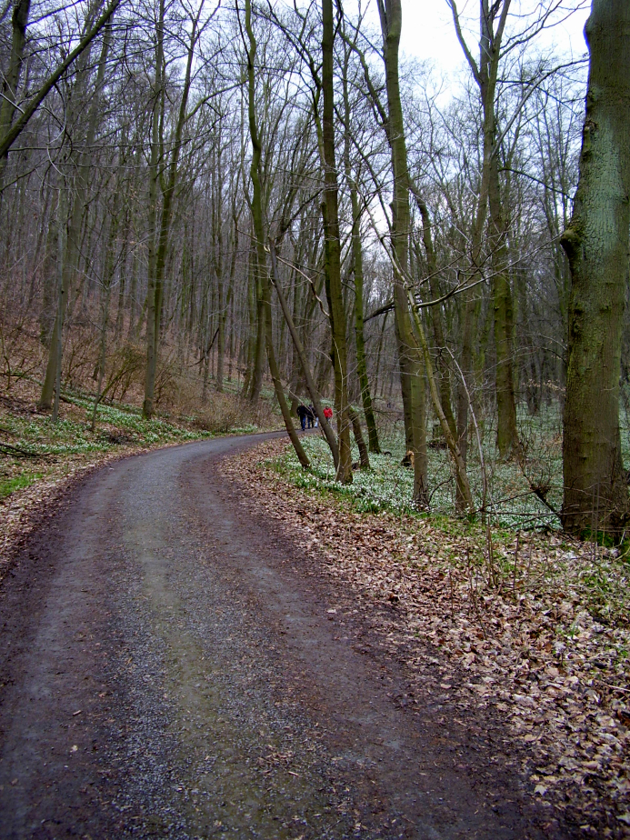 Märzenbechertal