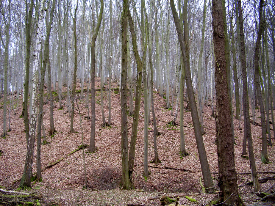 Am Weg in den Ort