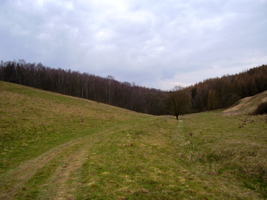 Hügelige Wiesenlandschaft unweit des Dorfes