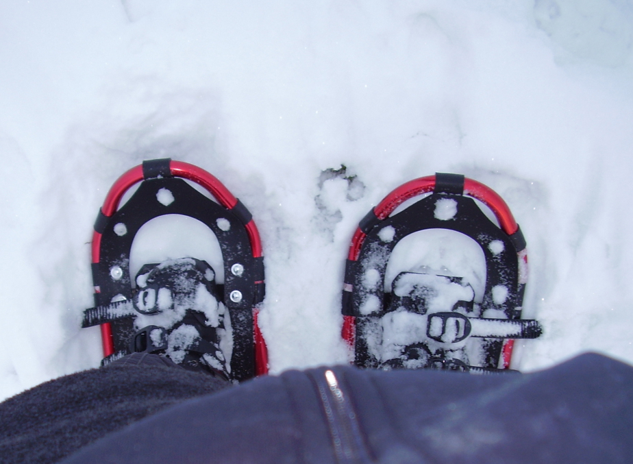Schneeschuhwandern