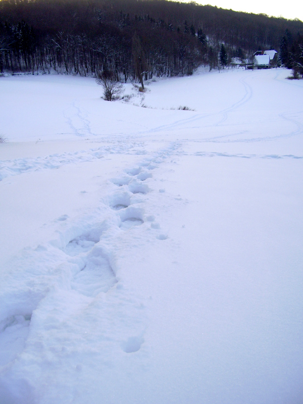 Schneeschuhwandern