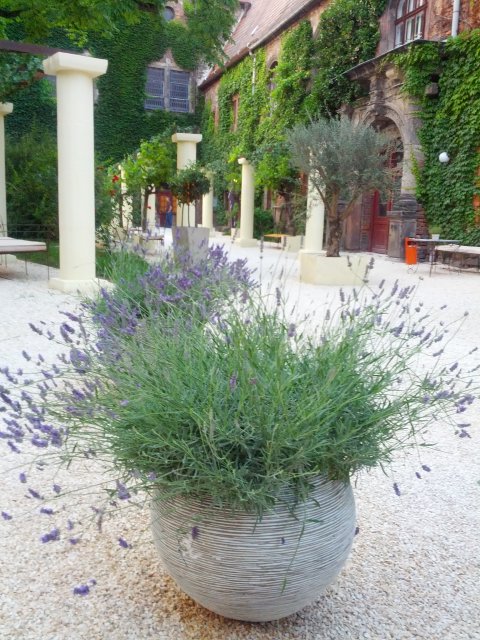 Italienischer Landschaftsgarten in der Neuen Residenz
