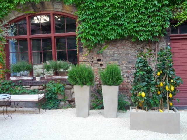Italienischer Landschaftsgarten in der Neuen Residenz