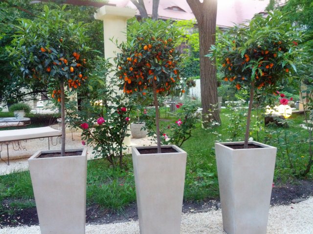 Italienischer Landschaftsgarten in der Neuen Residenz
