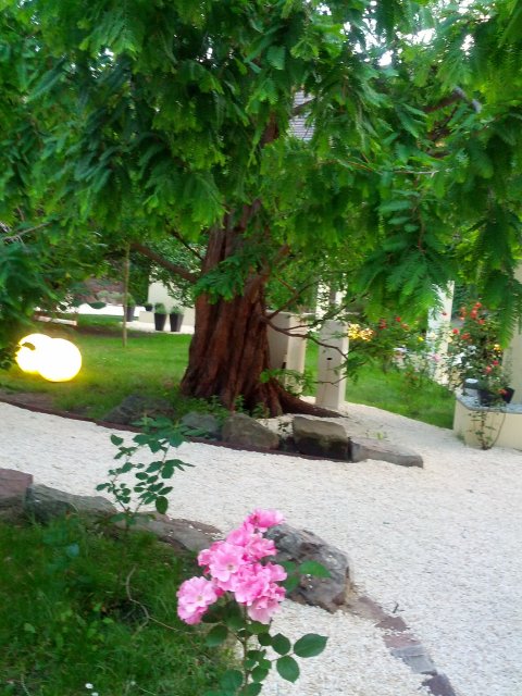 Italienischer Landschaftsgarten in der Neuen Residenz
