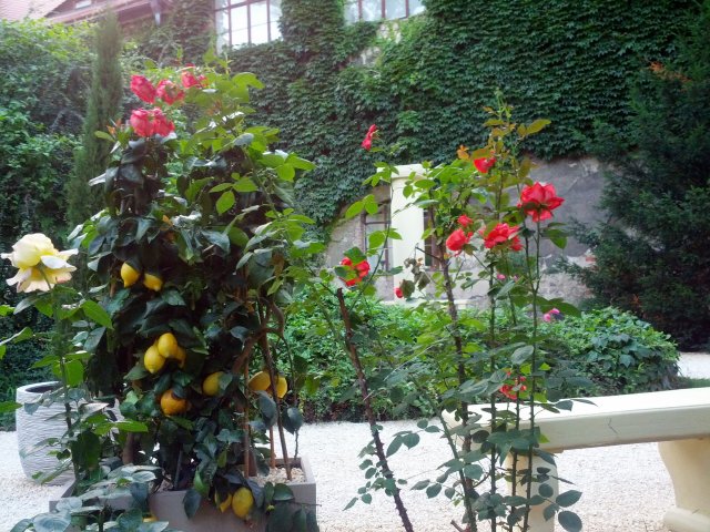 Italienischer Landschaftsgarten in der Neuen Residenz