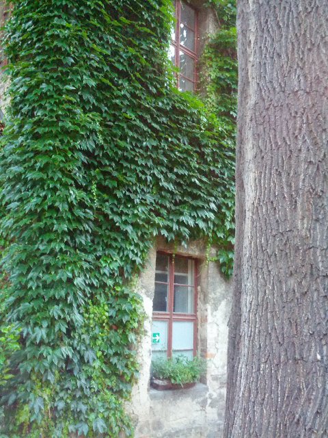 Italienischer Landschaftsgarten in der Neuen Residenz