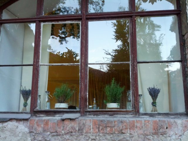 Italienischer Landschaftsgarten in der Neuen Residenz