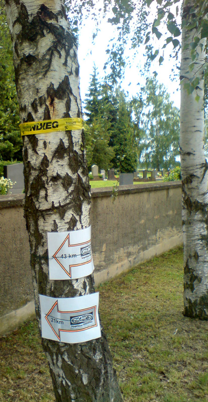 Baummarkierung
