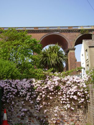 Brighton 2011