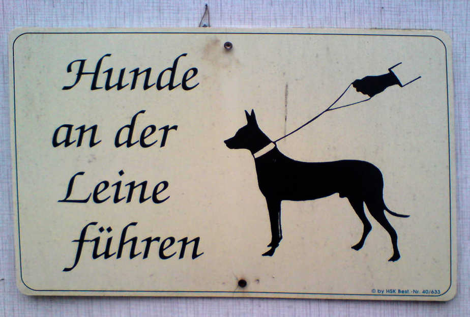 Hundeschild