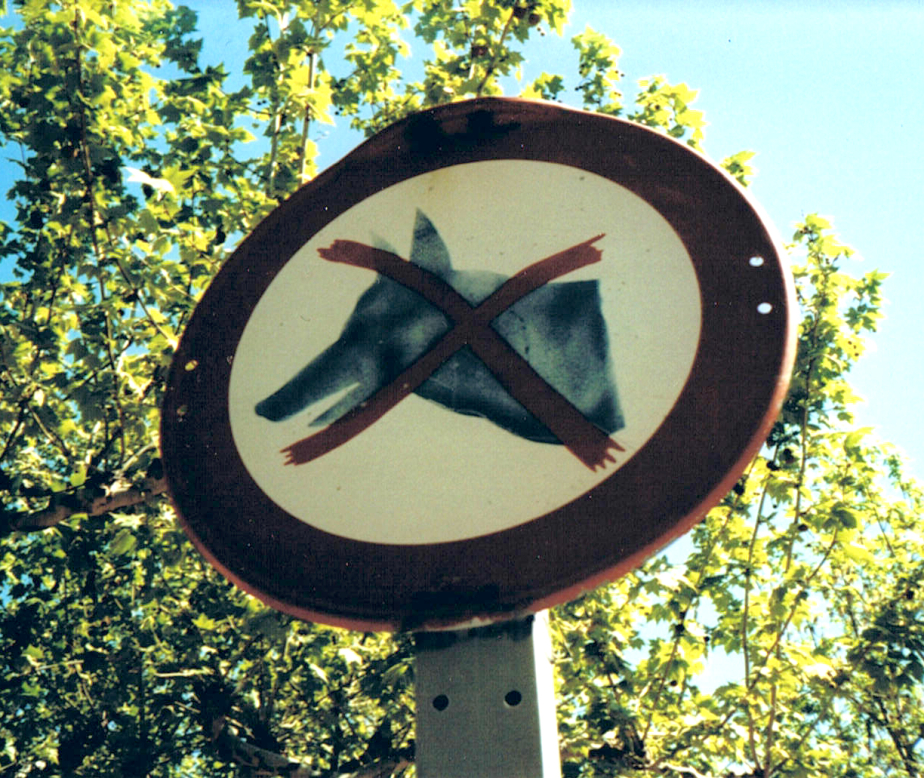 Keine Wölfe?