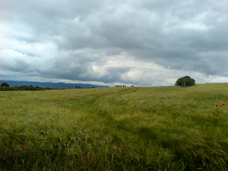 Landschaft