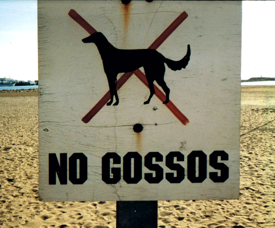 No Gossos