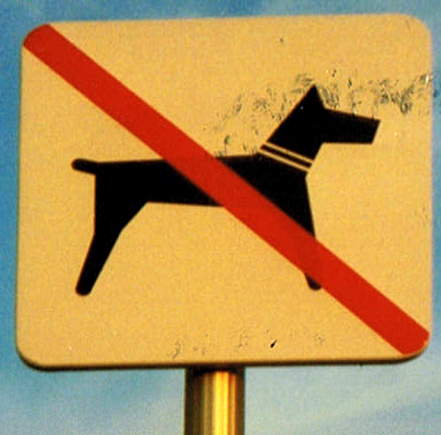 Hundeverbot in Spanien am Meer