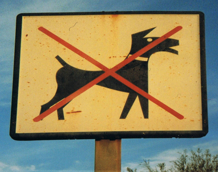 Hundeverbot in Spanien am Meer
