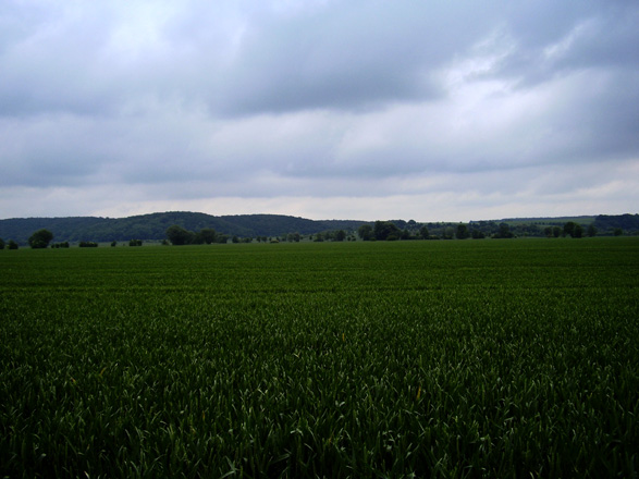 Weiter Blick