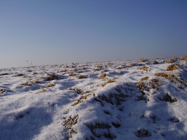 Winterpilgern Januar 2011