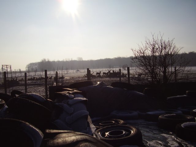 Winterpilgern Januar 2011
