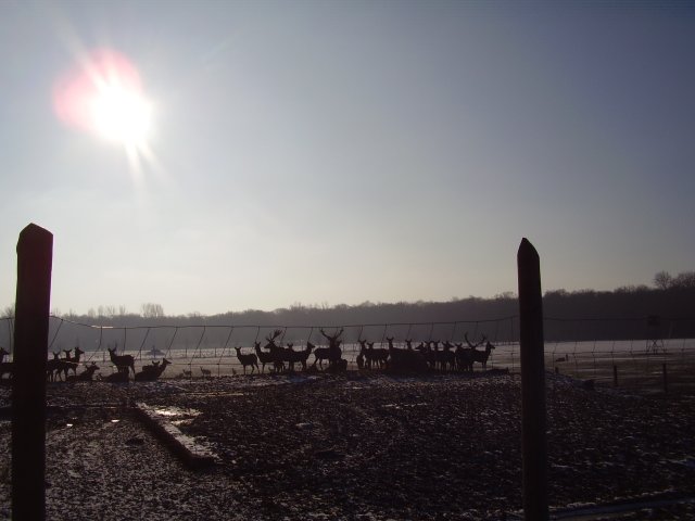 Winterpilgern Januar 2011
