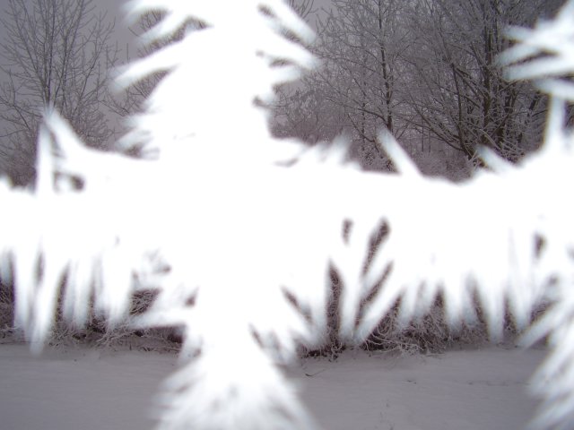 Winterpilgern Januar 2011