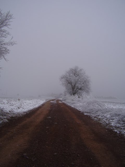 Winterpilgern Januar 2011