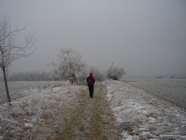 Winterpilgern Januar 2011
