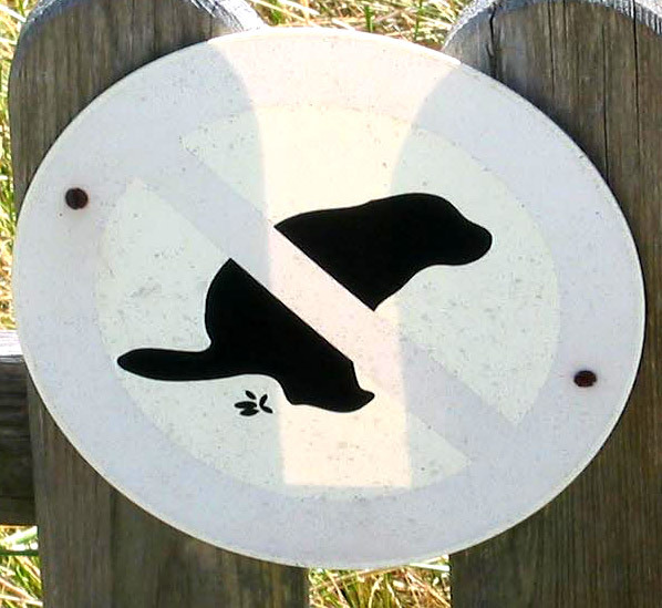 Hundeschild