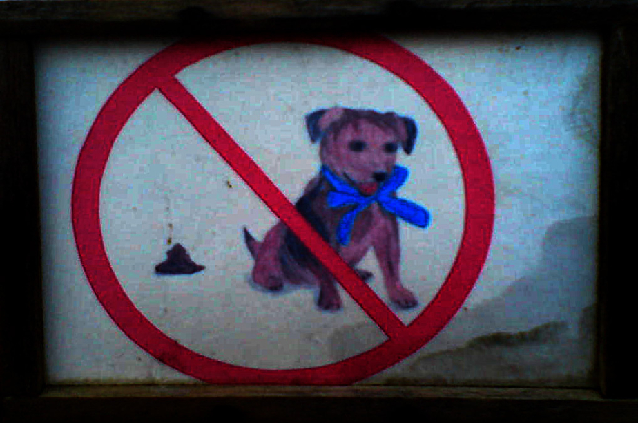 Hundeschild Hasslau