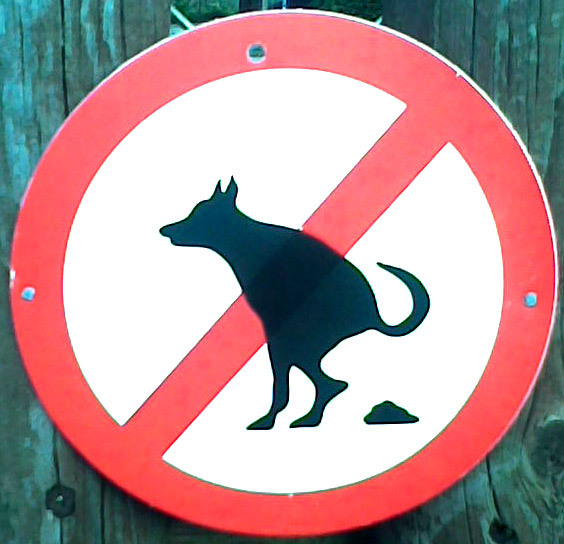 Hundeschild Franzosenstein
