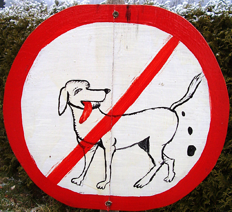 Hundeschild Stockach Kirche