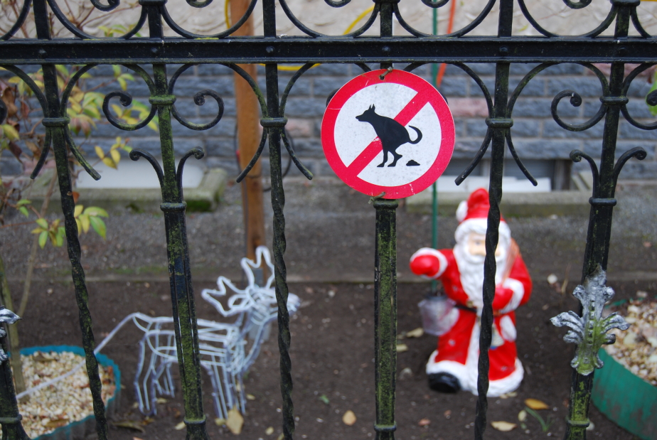 Hundeschild Fundstück Berlin