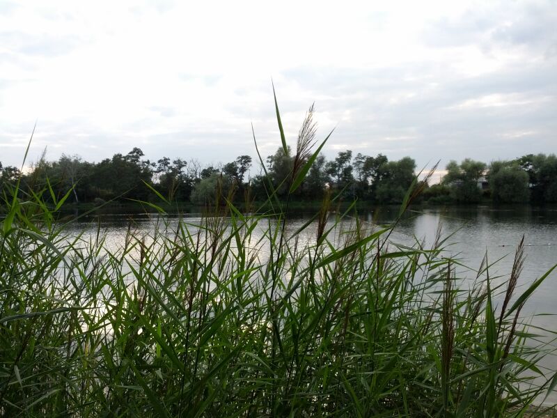 Friedrichsbad in Zwintschöna Friedrichsbad in Zwintschöna