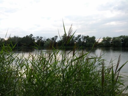 Friedrichsbad in Zwintschöna Friedrichsbad in Zwintschöna