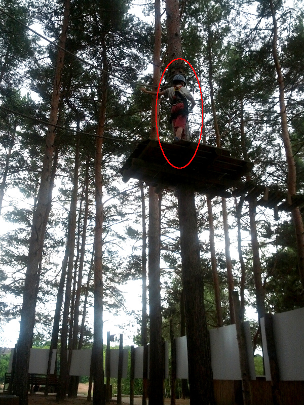 Meine mutigen Neffen im Kletterwald Schwindelfrei im Halleschen Heidebad