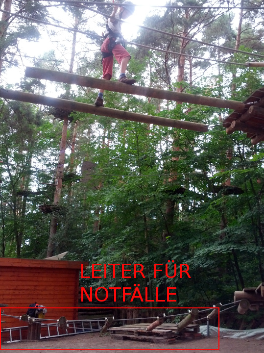 Meine mutigen Neffen im Kletterwald Schwindelfrei im Halleschen Heidebad