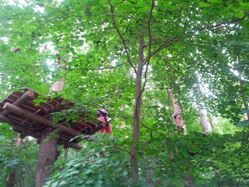Meine mutigen Neffen im Kletterwald Schwindelfrei im Halleschen Heidebad