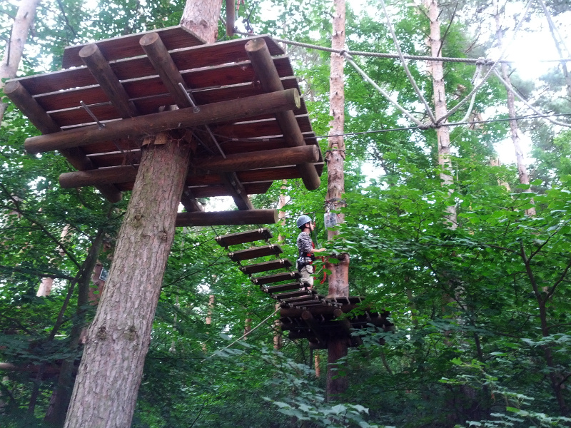 Meine mutigen Neffen im Kletterwald Schwindelfrei im Halleschen Heidebad
