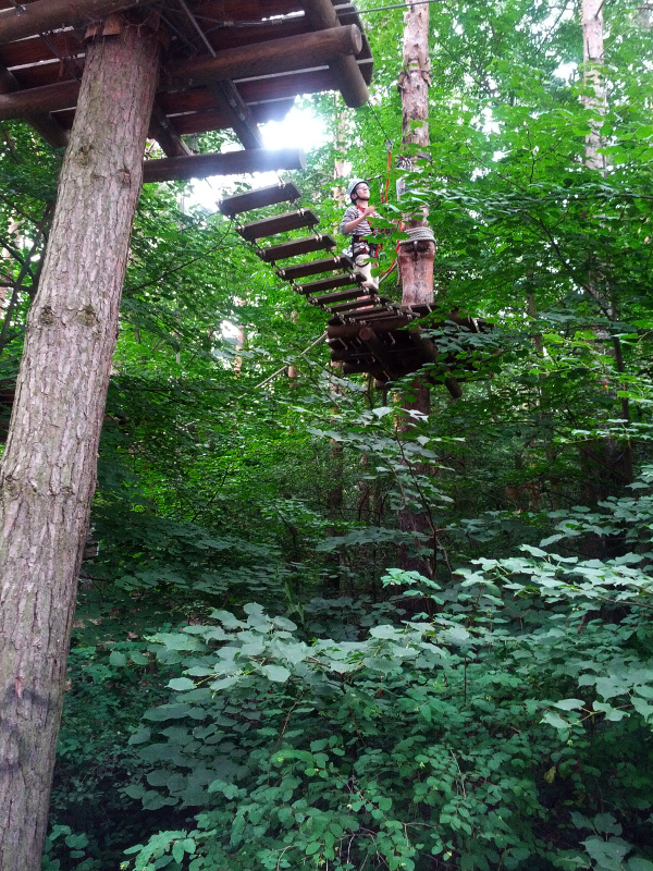 Meine mutigen Neffen im Kletterwald Schwindelfrei im Halleschen Heidebad