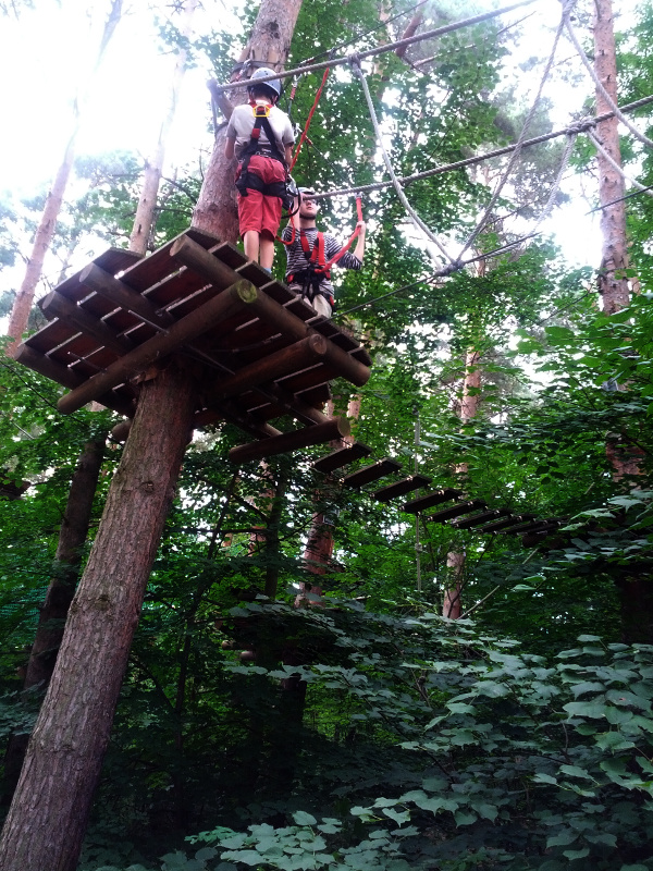 Meine mutigen Neffen im Kletterwald Schwindelfrei im Halleschen Heidebad