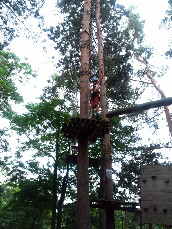 Meine mutigen Neffen im Kletterwald Schwindelfrei im Halleschen Heidebad