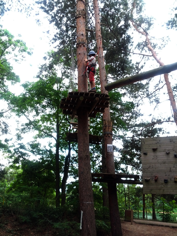 Meine mutigen Neffen im Kletterwald Schwindelfrei im Halleschen Heidebad