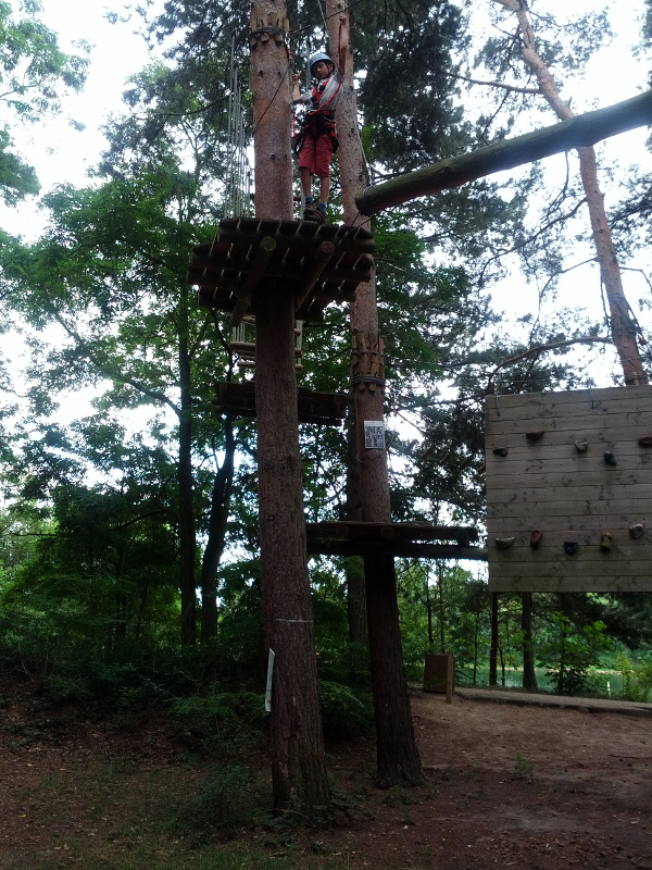 Meine mutigen Neffen im Kletterwald Schwindelfrei im Halleschen Heidebad