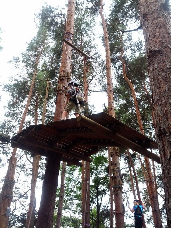 Meine mutigen Neffen im Kletterwald Schwindelfrei im Halleschen Heidebad