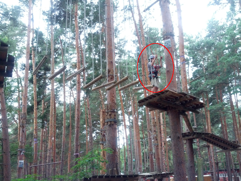 Meine mutigen Neffen im Kletterwald Schwindelfrei im Halleschen Heidebad